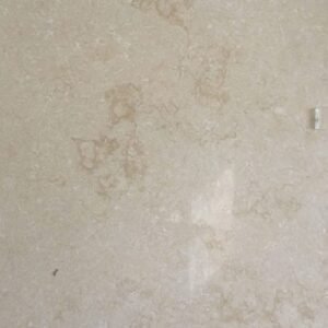 Sunny Menia marble